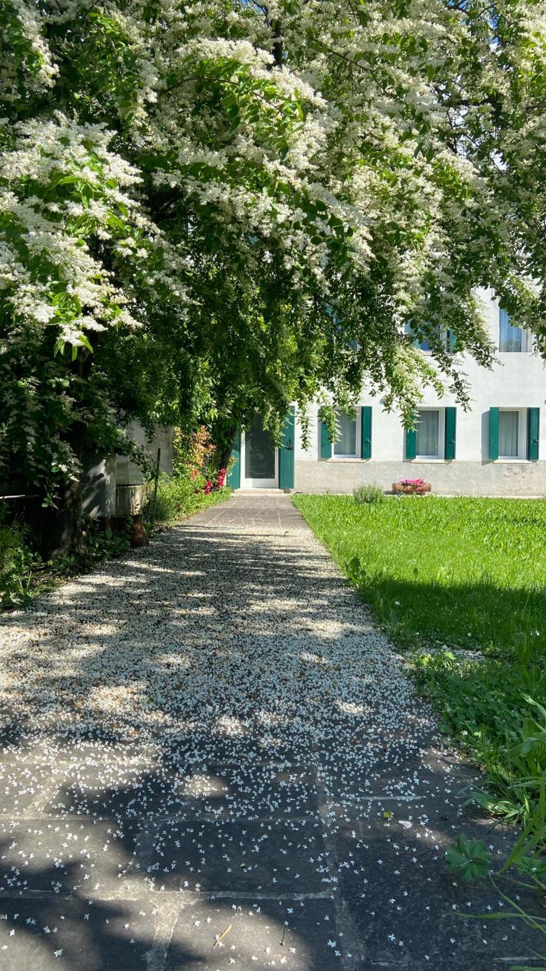 Ferienwohnung Magnolia 41 Possagno Exterior foto