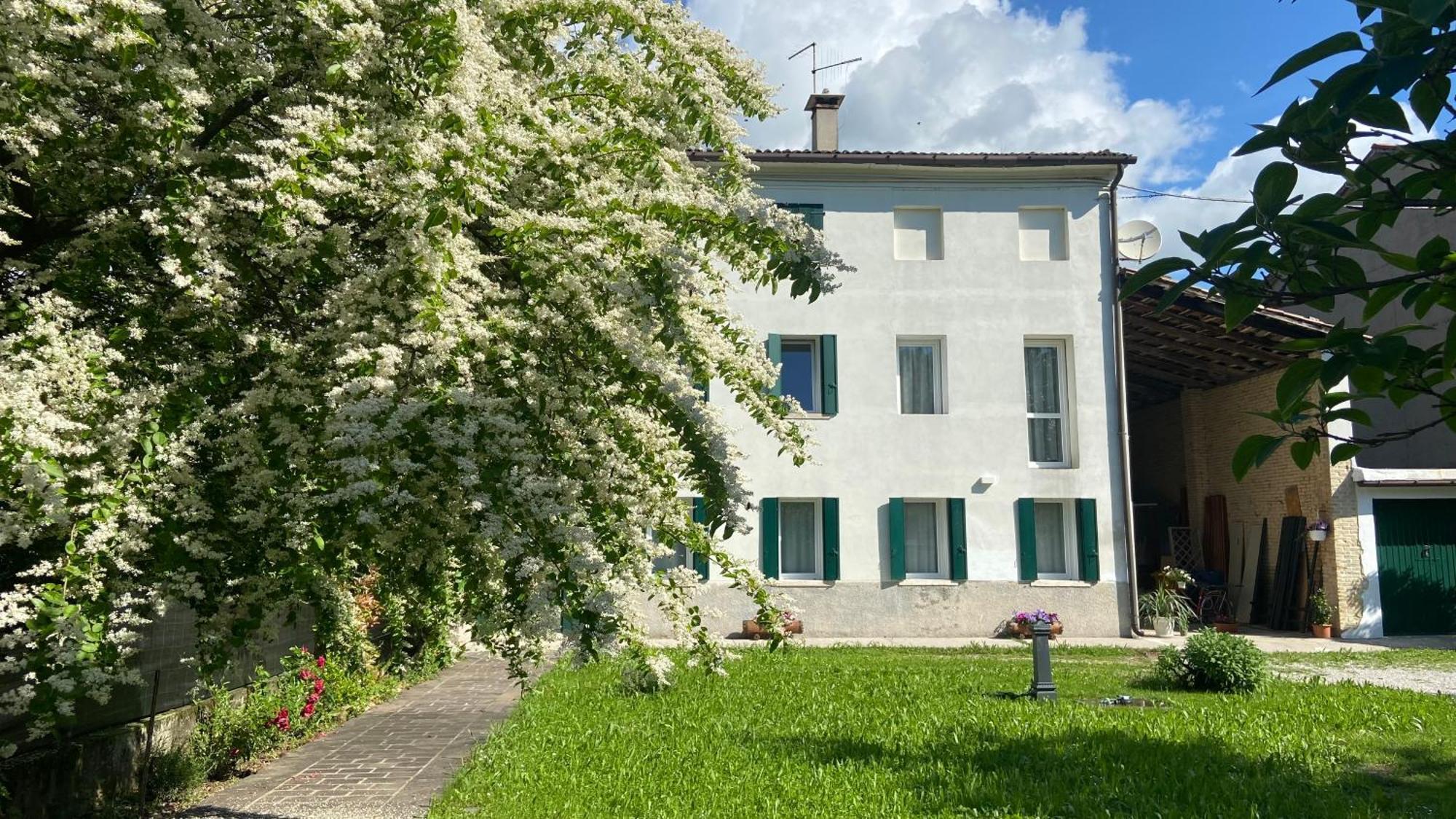 Ferienwohnung Magnolia 41 Possagno Exterior foto