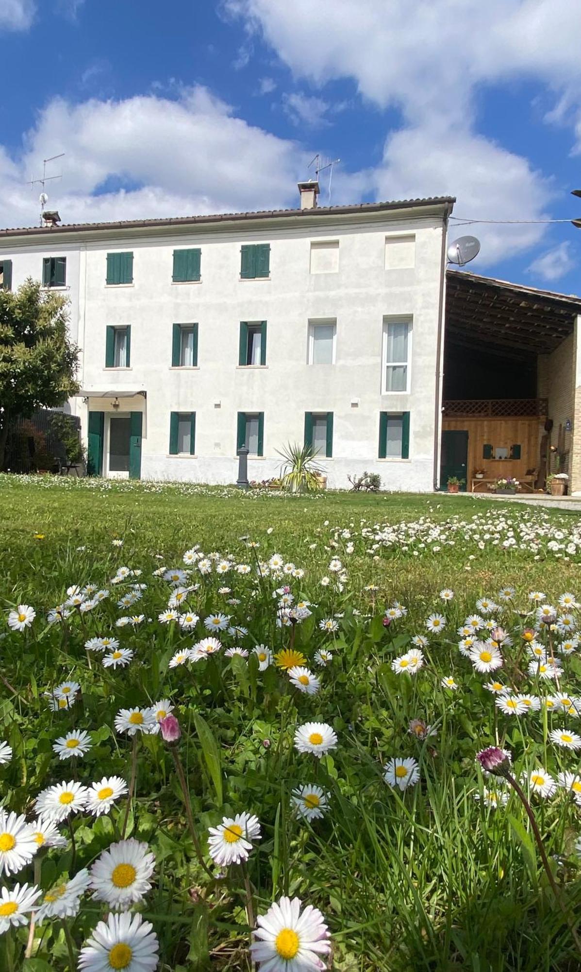 Ferienwohnung Magnolia 41 Possagno Exterior foto